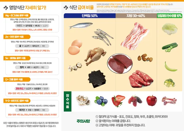 동물병원 건강식단 팜플렛